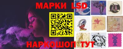 мяу мяу мука Абакан