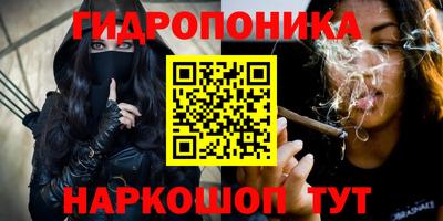 мяу мяу мука Абакан