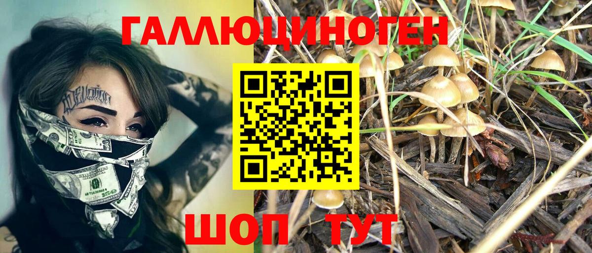 купить   Крымск  Псилоцибиновые грибы Magic Shrooms  Псилоцибиновые грибы ЛСД 