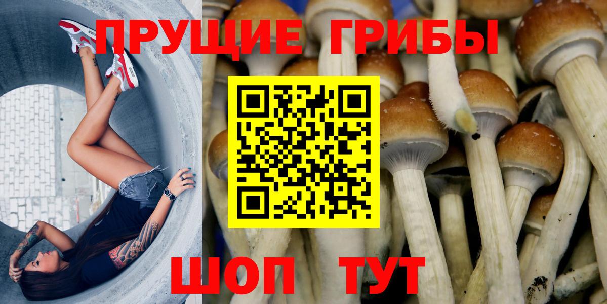 Галлюциногенные грибы ЛСД Крымск