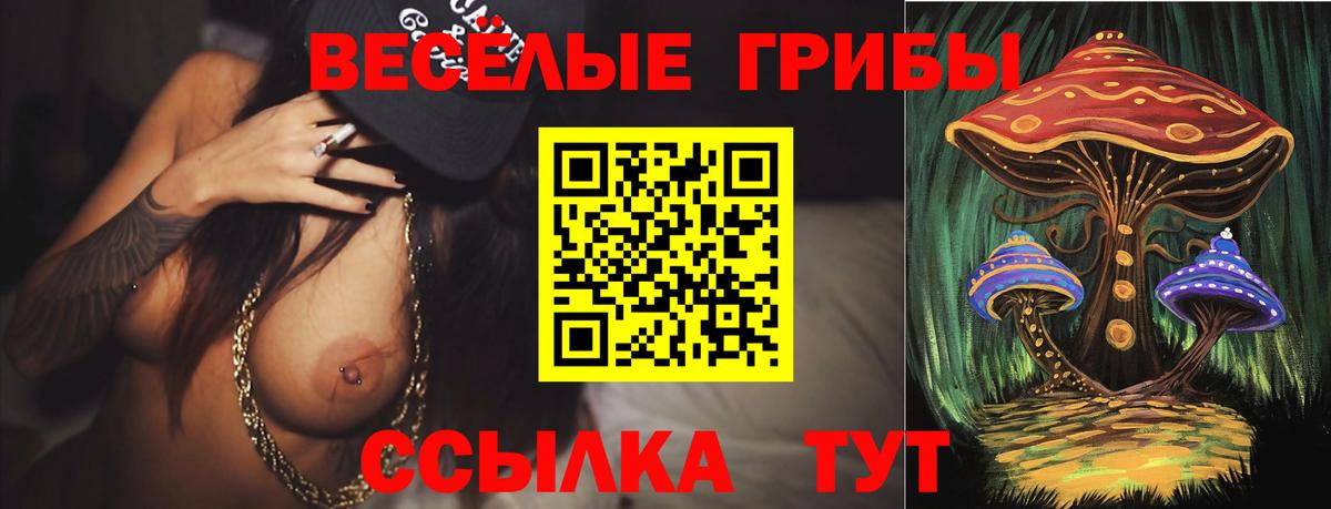Псилоцибиновые грибы мухоморы  Вход с VPN  Псилоцибиновые грибы Psilocybine cubensis  Крымск 